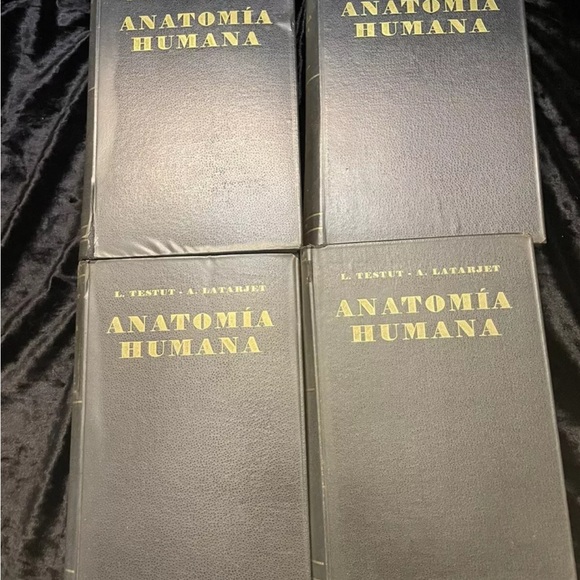 4 Volume Set Tratado De Anatomia Humana Testut Latarjet Human Anatomy 1954 - Picture 2 of 15